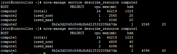 nova-manage service describe_resource